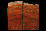 Tall, Arizona Petrified Wood Bookends - Red & Orange #166073-1